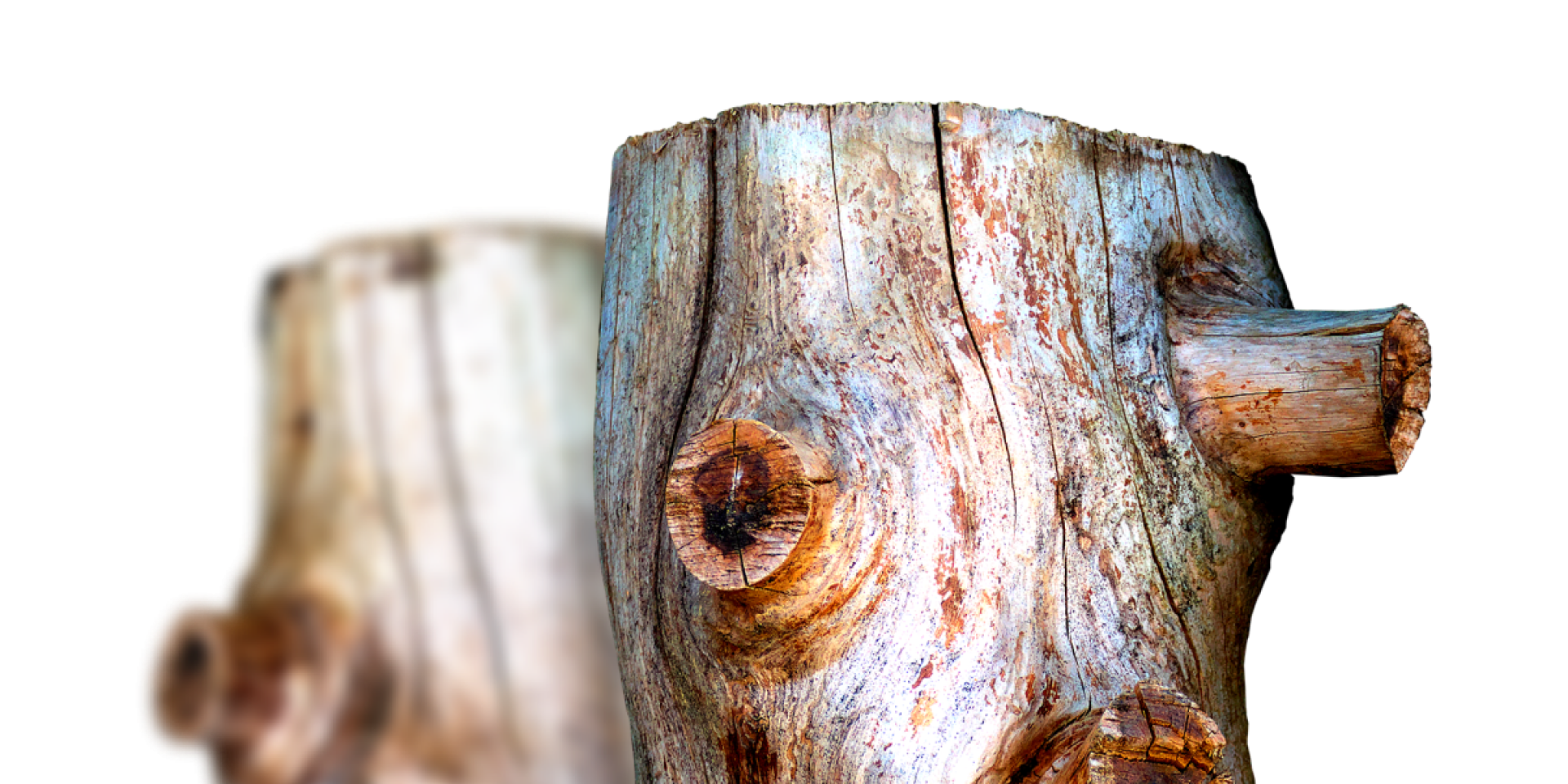 home holzscheit v2