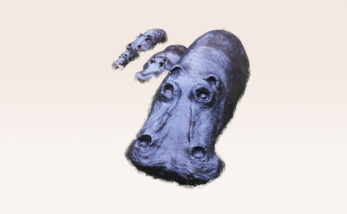 00 hippopotamus skulptur v2