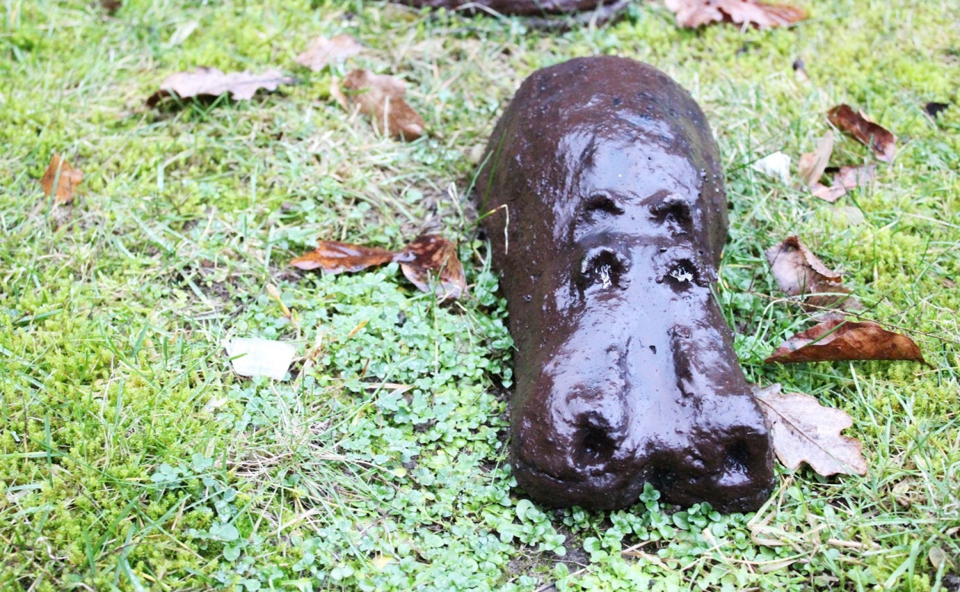02 hippopotamus skulptur